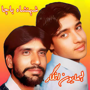 Zargia Waswazi lamba Shy