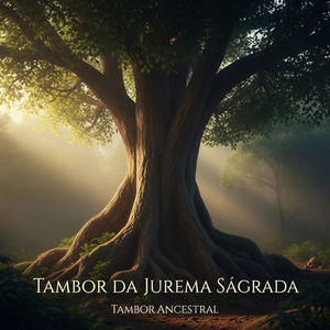 Tambor da Jurema Sagrada