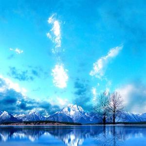 要我怎么忘了他