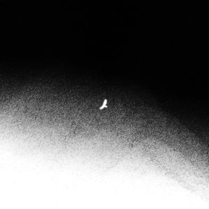 Albatros (feat. Aces)