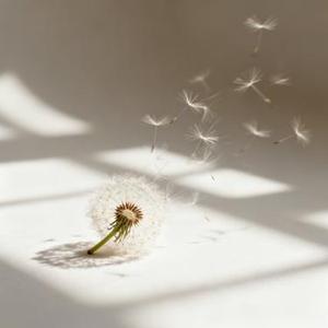 破茧向光行