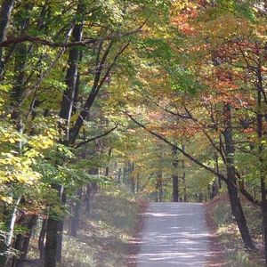 但是你离开以后