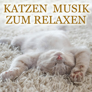Schmusekatze