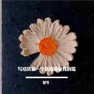 写给我第一个喜欢的女孩的歌