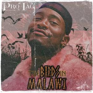 Nontobeko (feat. Uso-Lead)