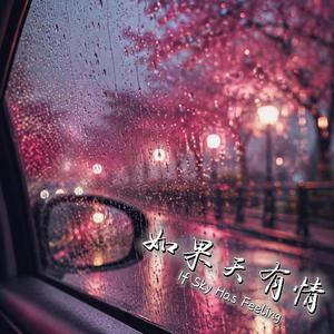 如果天有情 (R&B版)