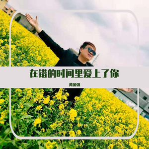 在错的时间里爱上了你