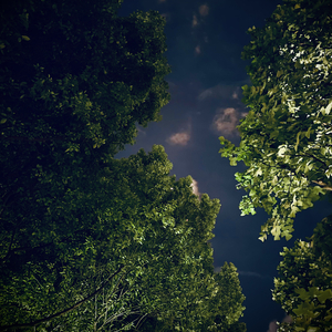 我真的受伤了.wav