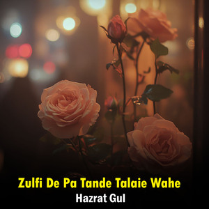 Zulfi De Pa Tande Talaie Wahe