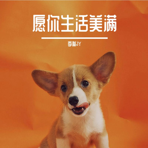 愿你生活美满