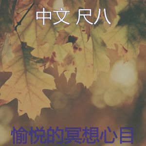 一尘不染睡眠印象数