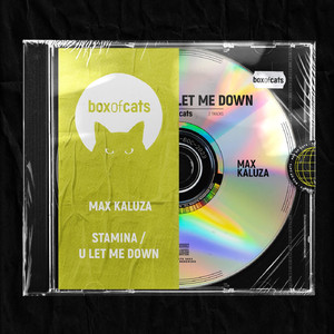 U Let Me Down (Original Mix)