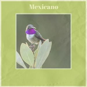 Mexicano