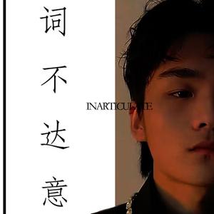 词不达意
