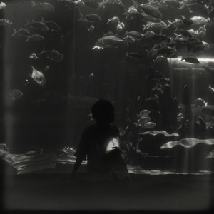 如果世界还剩下几分钟