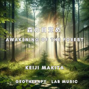 風が運ぶ朝の光/Morning Light Carried by the Wind