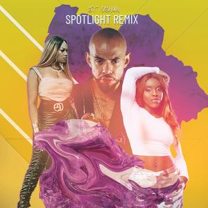 Spotlight (Remix)