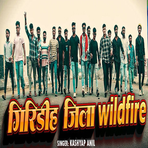 Giridih Jila Wildfire