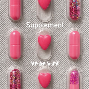 Supplement
