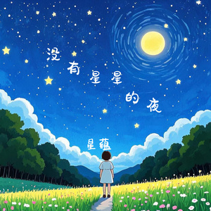 没有星星的夜