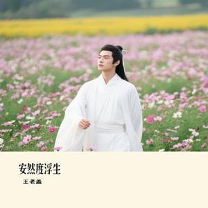 安然度浮生