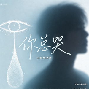 你总哭（抖音热播纯音乐）