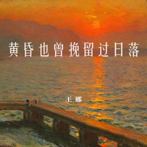 黄昏也曾挽留过日落