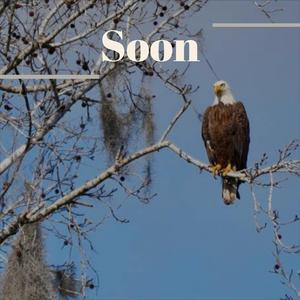 Soon