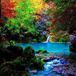 少年与少女（一）