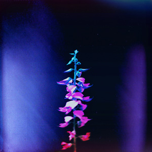 Kill Me When I'm Young