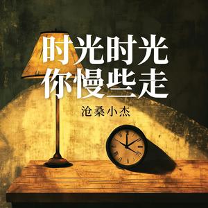 时光时光你慢些走