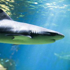 那些你很冒险的梦