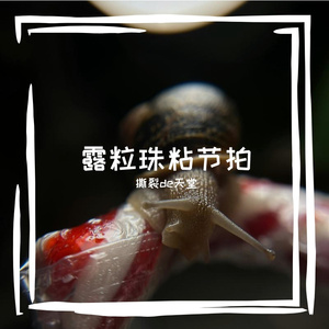 裙藤俳钨肝该镁林
