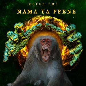 Nama ya Pfene