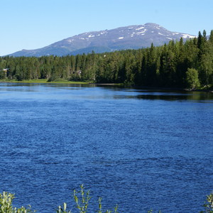 Floden (feat. Eva-Karin Håkansson) (Swedish strings) (Swedish strings)