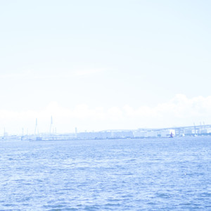 フラッグシップ