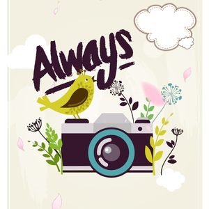 Always（翻自 produce101）