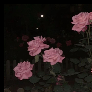 Grateful (with skit)