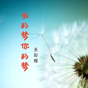 我的梦你的梦
