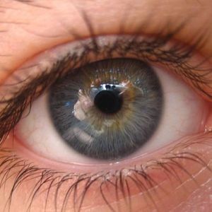 Снегом Белым