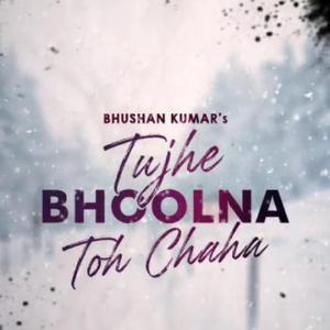 Tujhe Bhoolna Toh Chaaha Song ।।jubin Nautiyal ।। Hindi New Song 2022 ।।