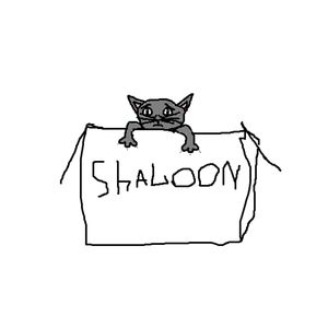 котёнок