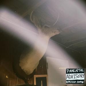 Y si te digo la verdad, Frankie yo te extraño (feat. Díaz & Gaboo)