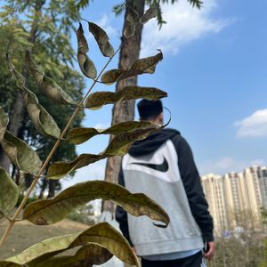 零落一地的思念