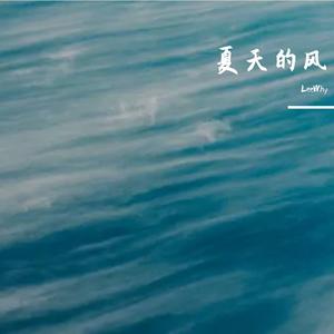 火羊瞌睡了-夏天的风（LeeWhy remix）