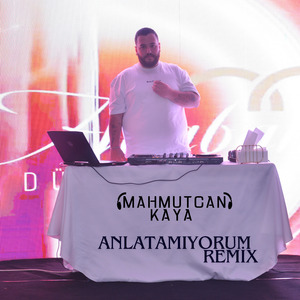 Anlatamıyorum (Remix)