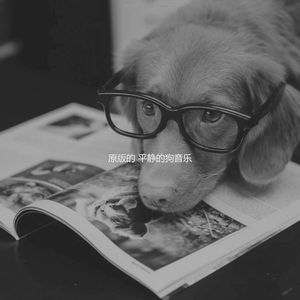 柔和的小狗时刻