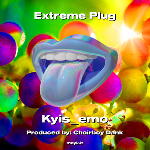 Plug