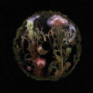 Bundan Sonra (Disco Tarantula Remix)