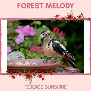 Beautiful Small Bird